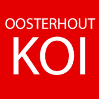 Foto van schrijver: Arie  Eikelenboom