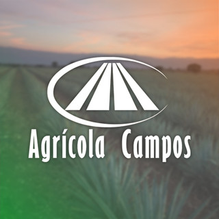 Foto del escritor: AC Marketing