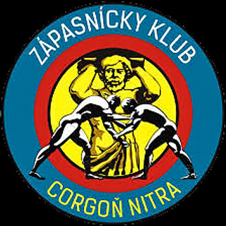 Writer: nitrianskicorgoni