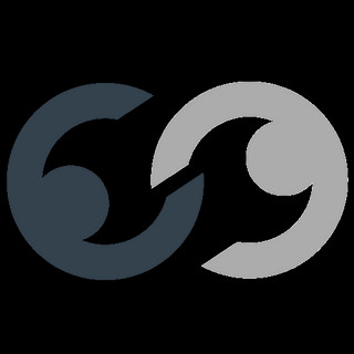 Writer: Capricorn Computer Services