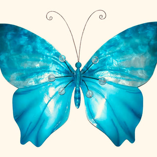 Writer: Amelia Jones