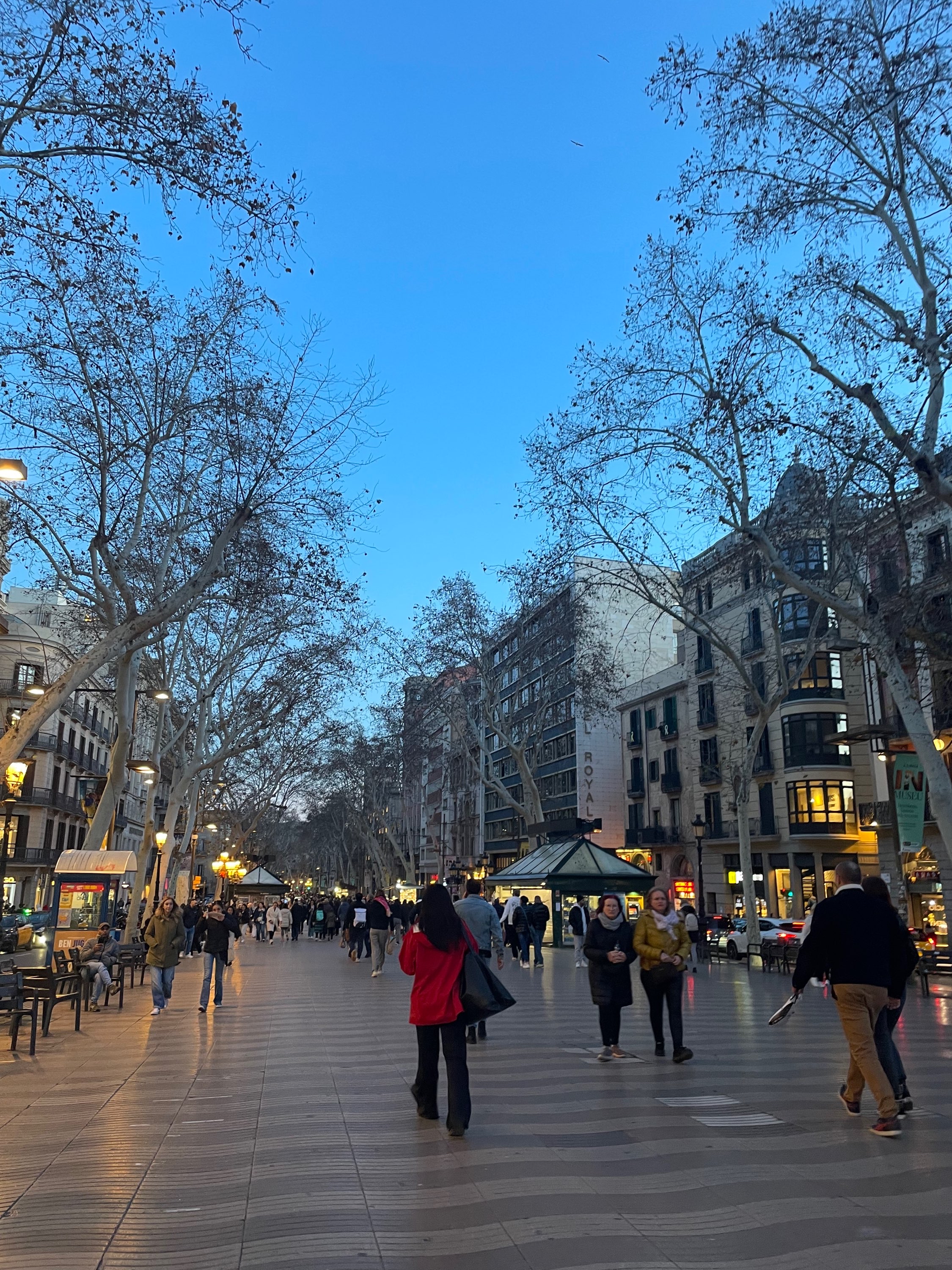 Foto del escritor: Alba vaya