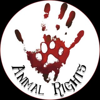 Photo du rédacteur: ANIMAL RIGHTS