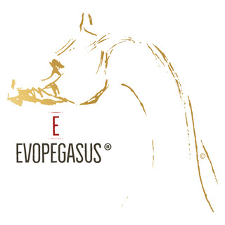 Photo du rédacteur: evopegasus