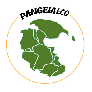 Foto do escritor: PANGEIAECO LEAP EDUCATION