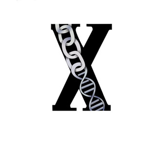 Xabilities Limited