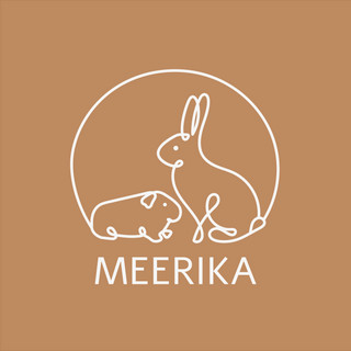 Autorenbild: meerikaverein