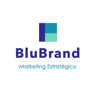 Writer: BLU BRANDS LLC