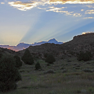 Writer: Corral Bluffs