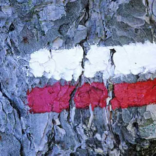 Photo du rédacteur: Mickaël BERTHON