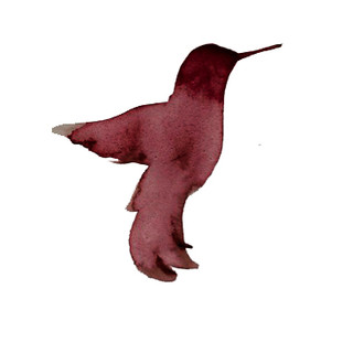 Writer: Maggie Bridges