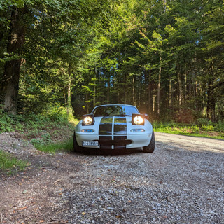 Autorenbild: Adrian Setz