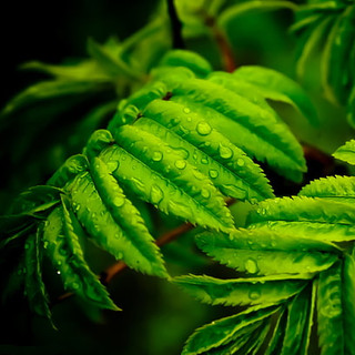 작성자 사진: 카지노가입 에볼루션