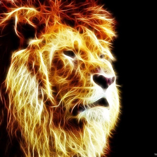 Writer: Carlos Vega, Jr.