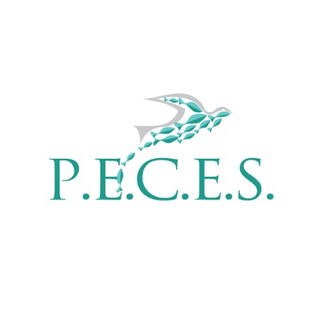 Foto del escritor: pecesinc