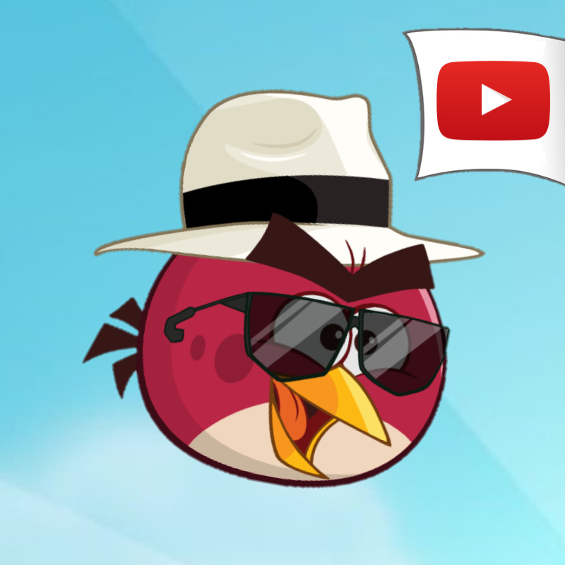 Foto del escritor: Mr Red Bird