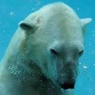 Foto del escritor: carlosuli22