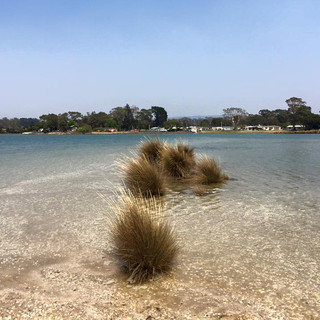 Writer: Darby-Norris