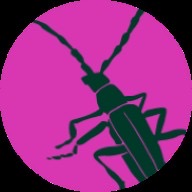 Autorenbild: Stefanie Balog Rueber