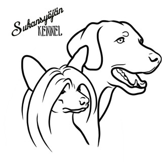 Writer: Stina Saxlund-Kareinen