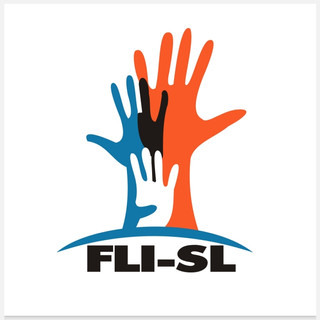 Writer: Future Leaders Initiative SL