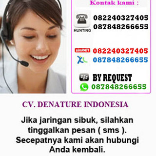 Gambar penulis: fanessdefe