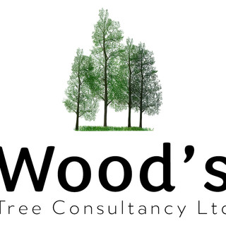 Writer: Wood's Tree Consultancy Ltd