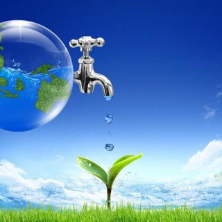 Writer: WANG FUNG Healthy Sustainable Living