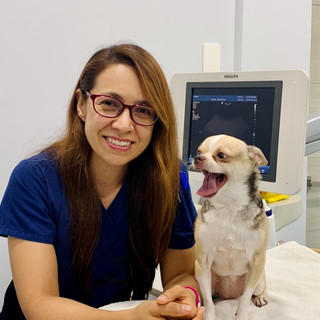 Writer: Paola Moreno