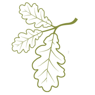 Writer: Oakapple Trading
