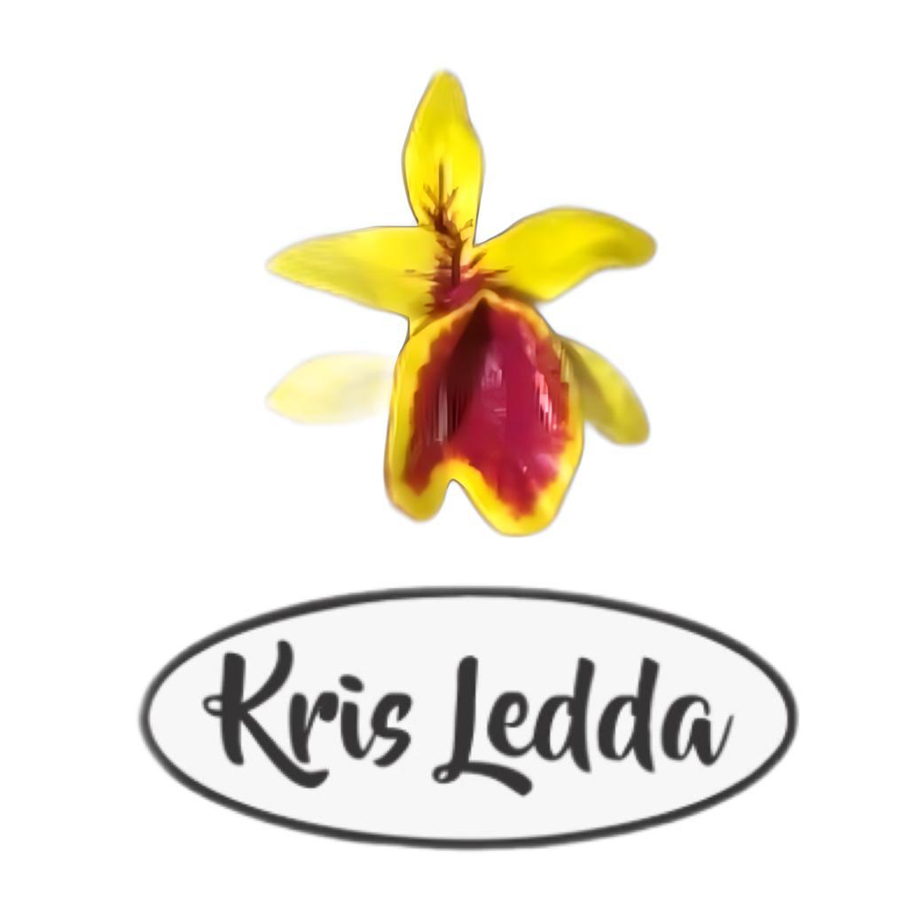 Writer: Kris Ledda null