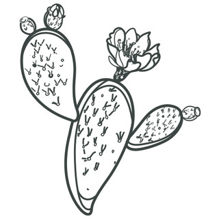 Writer: PRÍ PEAR™