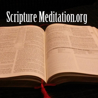 Writer: Scripture  Study