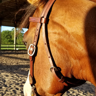 Writer: Heather Keys