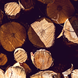 Writer: Amberly Schmidt