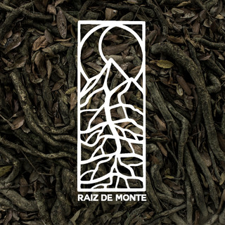 Foto del escritor: raizdemonte