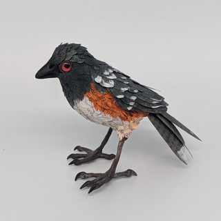 Writer: Christian Davila