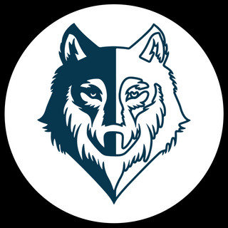 Foto do escritor: Wolf Agência