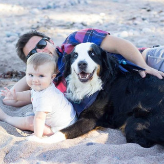 Writer: Alfred Reynolds