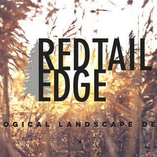 Writer: REDTAIL EDGE DESIGN