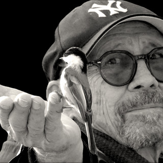 Photo du rédacteur: Jean-Bernard MICHEL