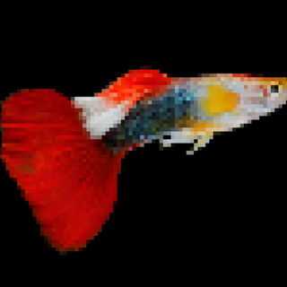 Writer: Connor Yochum