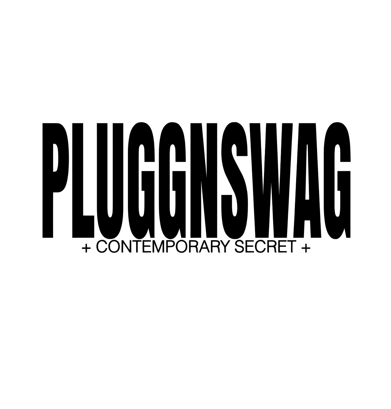 執筆者の写真: pluggnswag