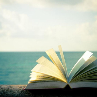Writer: Books Shelf