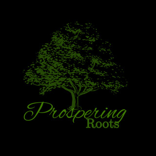 Writer: prosperingroots25