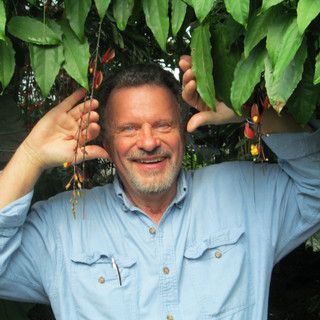Writer: Kim Krisco