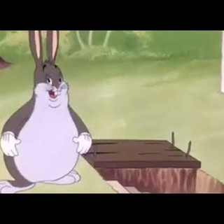 Foto del escritor: BIg Chungus