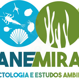 Foto do escritor: Viviane Miranda