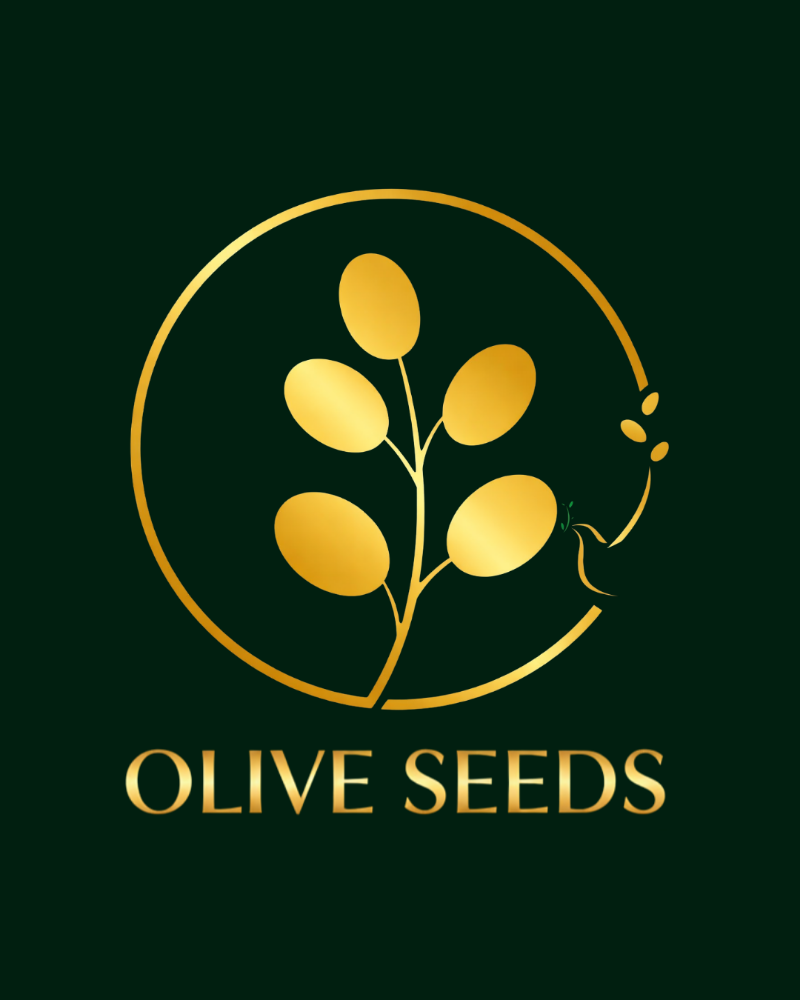 Writer: OLIVE SEEDS DIGITAL DESIGN STUDIO 🫒