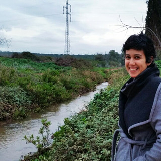 Writer: danit weinberger
